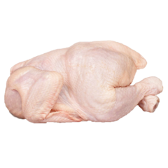 Rooster