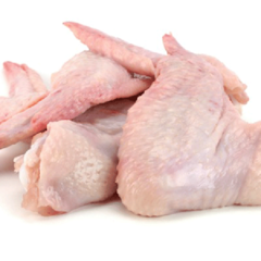 Turkey turkeywings